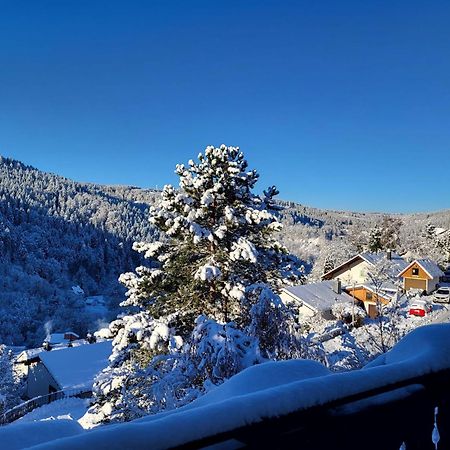 Grosse Ferienwohnung In Ruhiger Lage Mit Toller Aussicht In Triberg Triberg im Schwarzwald Kültér fotó