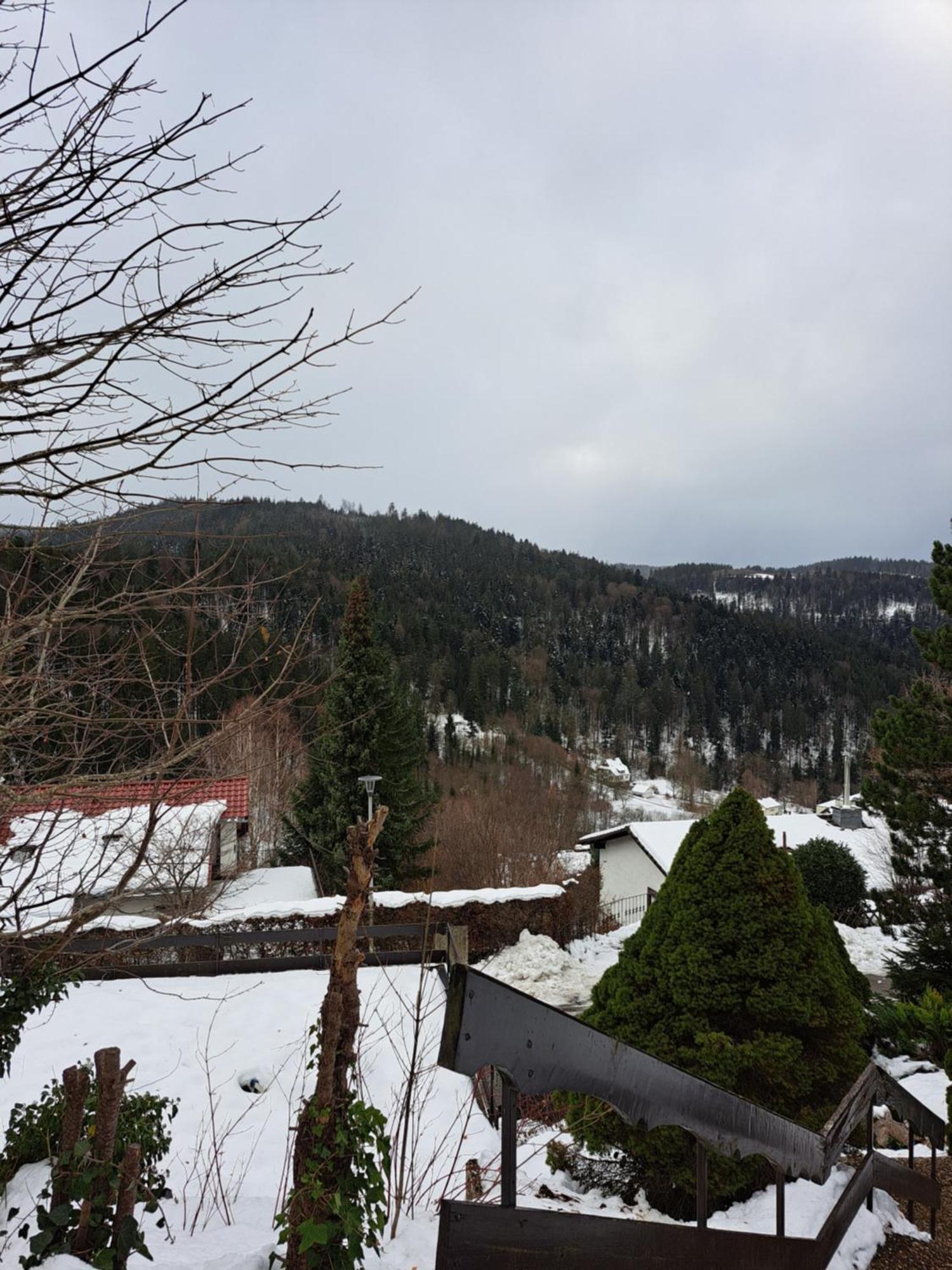 Grosse Ferienwohnung In Ruhiger Lage Mit Toller Aussicht In Triberg Triberg im Schwarzwald Kültér fotó