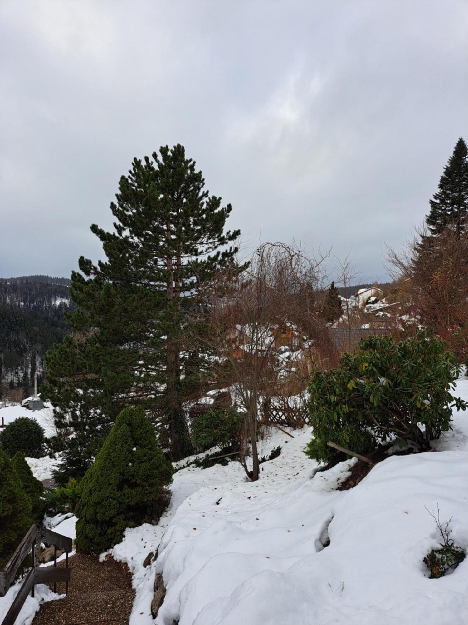 Grosse Ferienwohnung In Ruhiger Lage Mit Toller Aussicht In Triberg Triberg im Schwarzwald Kültér fotó