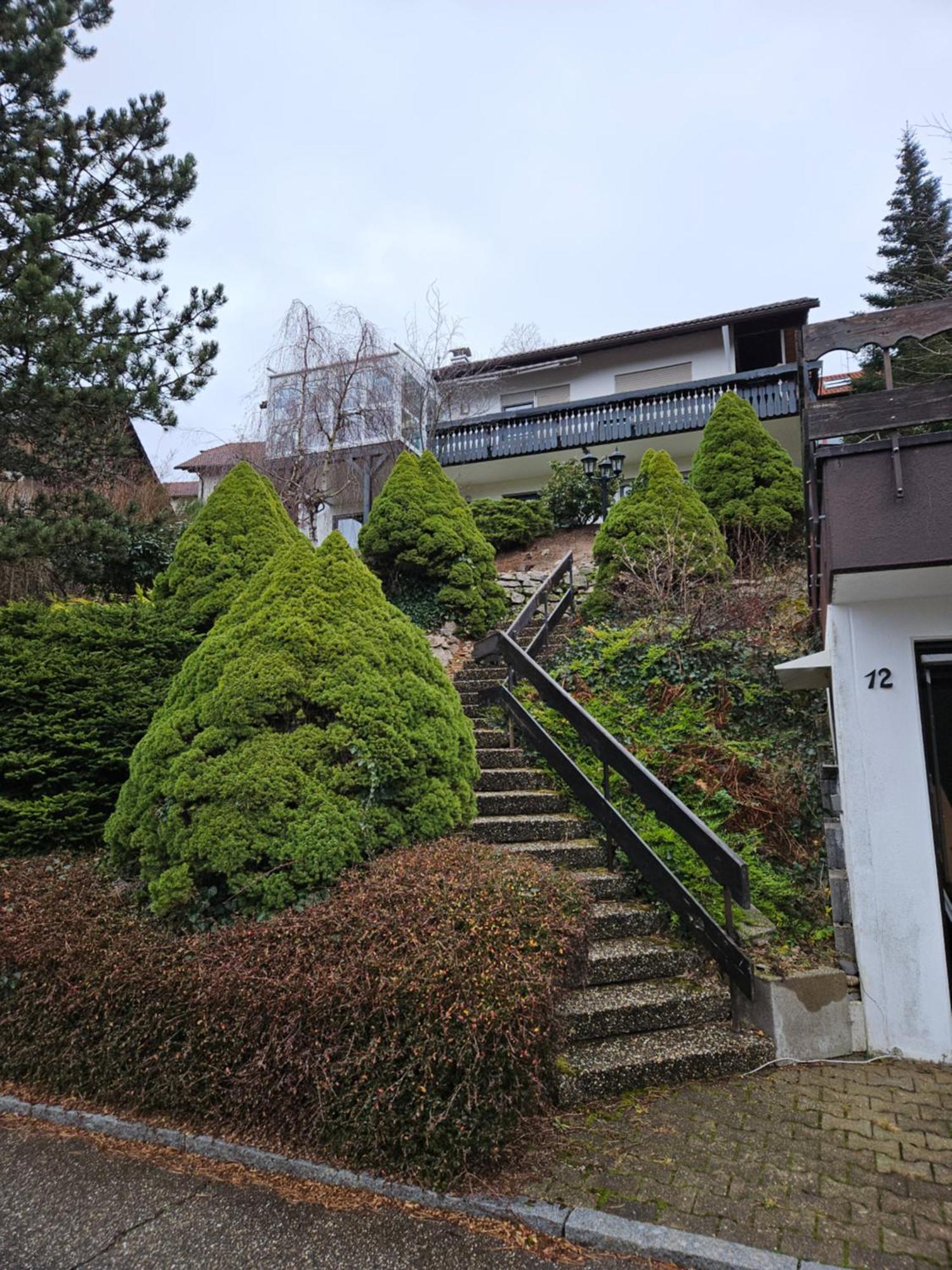 Grosse Ferienwohnung In Ruhiger Lage Mit Toller Aussicht In Triberg Triberg im Schwarzwald Kültér fotó