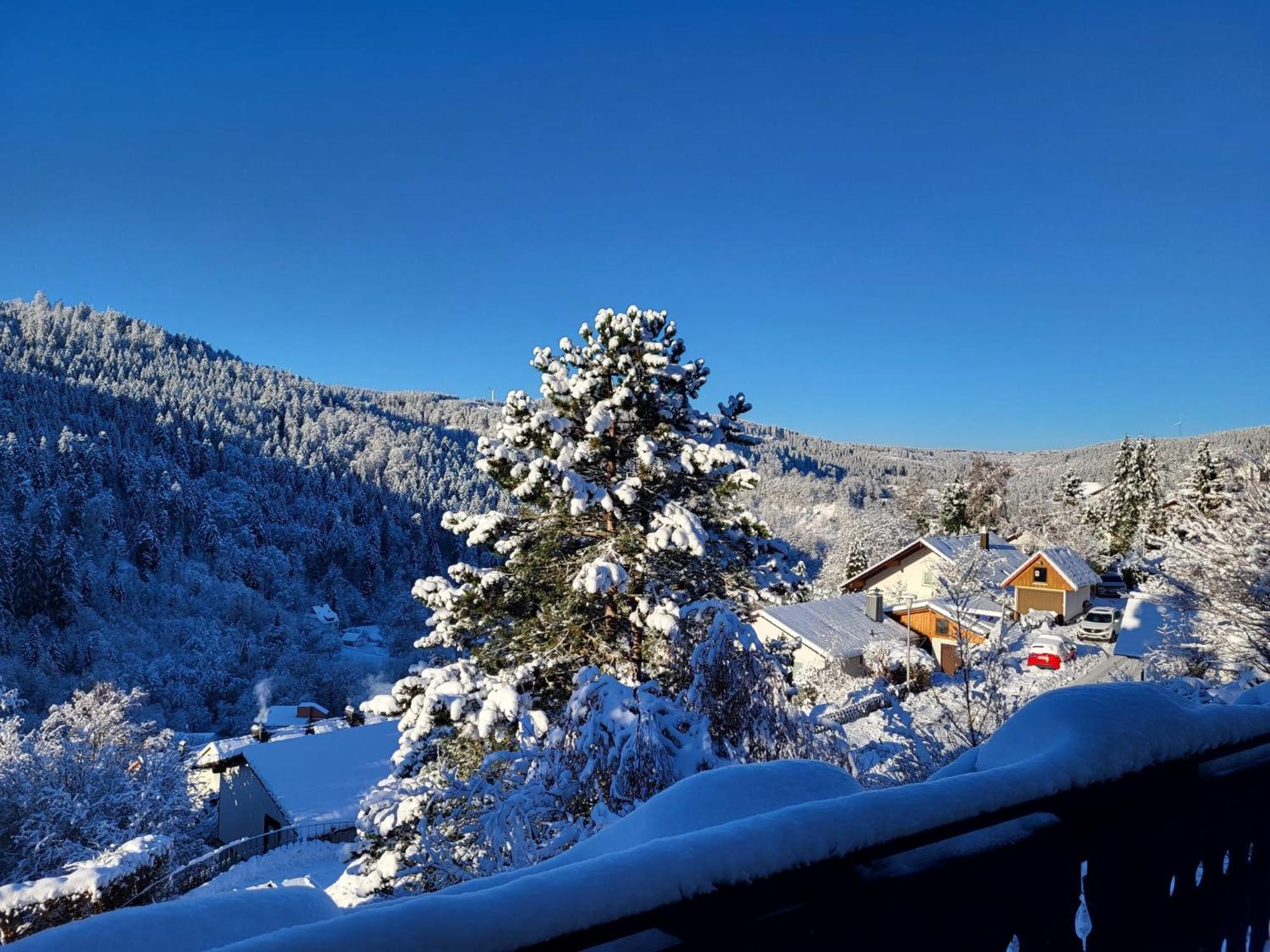 Grosse Ferienwohnung In Ruhiger Lage Mit Toller Aussicht In Triberg Triberg im Schwarzwald Kültér fotó